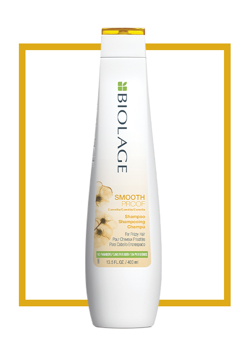 BIOLAGE SmoothProof Shampoo | Helps Frizzy, damaged, unmanageable hair | For Anti-Frizz Smoothness