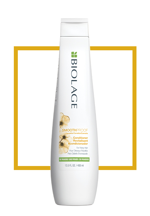 BIOLAGE SmoothProof Conditioner | Helps Frizzy, damaged, unmanageable hair | Anti-Frizz Smoothness