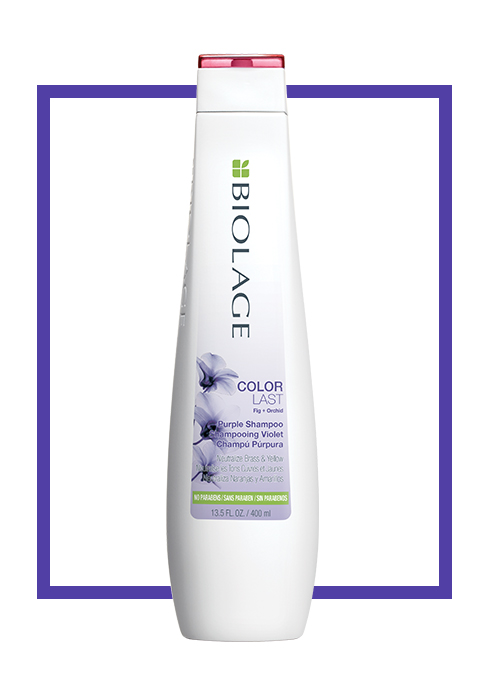 BIOLAGE Colorlast Purple Shampoo | Helps Protect Hair &; Maintain Vibrant Color | Color-Treated Hair