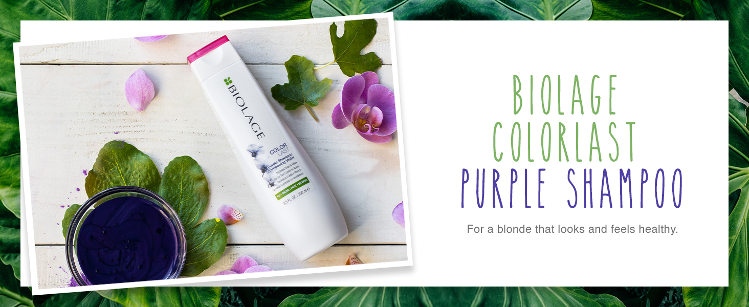 BIOLAGE Colorlast Purple Shampoo | Helps Maintain Color Depth, Tone & Shine | Anti-Fade, Neutralize